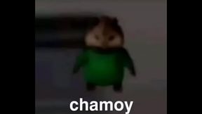 Meme