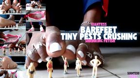 Tinnies Gets Crushed Barefeet - Shrinking Fetish, Sneaker Fetish, Crushing, Ebony Feet Fetish