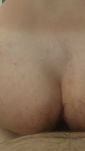 Teddy Bearor Jumps on Cock