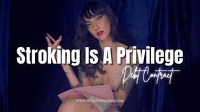 Stroking Is A Privilege - Debt Contract