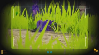 sapphire safari porn pokemon game, furry sex in the camera sight