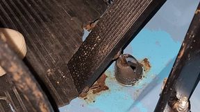 Cranking and Pumping the Blue Van's pedals