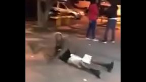 Sexo de cachorro