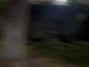Risky Public Nudity and Masturbation