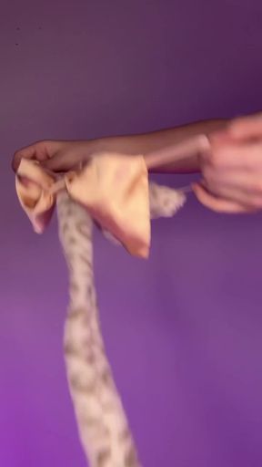 Gracie's gets a sloppy blowjob