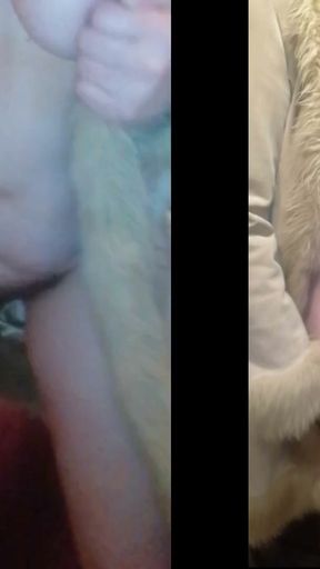 Huge breast that shakes a lot   Clip 1