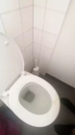 Spermalecken von der Klobrille