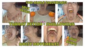 THROAT FETISH - SWALLOWING - NO CHEWING- CUM ENCOURAGEMENT - NOISY MOVEMENTS - NECK VEINS