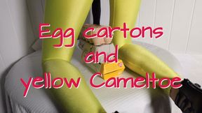 Egg cartons and yellow Cameltoe - Eierkartons und gelbe Cameltoe