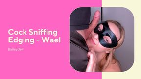 Cock Sniffing Edging Wael