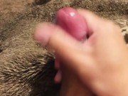 I jerk off and cum while watching porn in bed