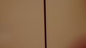 oops, my stepbrother cum inside me! - reislin ft. purple bitch