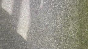 Wet green campus walk to work