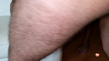 Bear casal