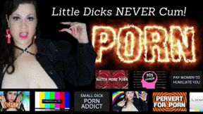 Little Dick Pornoholic Humiliation (no music)