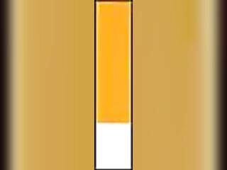 RUMI HARD FUTA ORAL PLEASURE IN THE PLANE - REAL HARD ORAL-JOB AND FACE