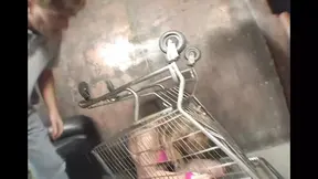 Lots of Cock for Tayla Wynn′s Mouth