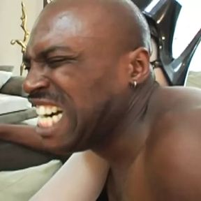 LEXINGTON STEELE - My Nasty Nymphos - Chapter 08