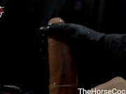 Big Dick Condom Breaks Fap for Cumshot POV