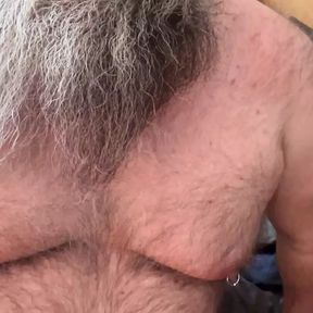 Hairy bear nip play cock play