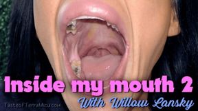 Inside My Mouth 2 - Willow Lansky - HD 720 WMV