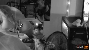 Disabled Gay Double-Penetrates himself and Cums