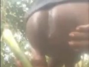 Nature Fucked