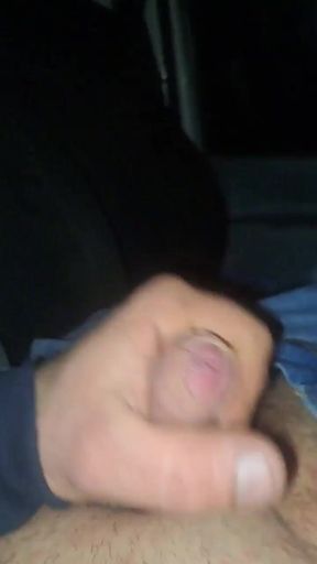 Having Fun in the Car