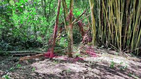 Student sneaks off during field trip to pleasure teacher in the woods