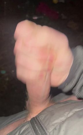Quick Shoot and Run