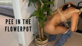 Pee in the flowerpot: They wouldn't let me use the bathroom (Two POVs of Relief)
