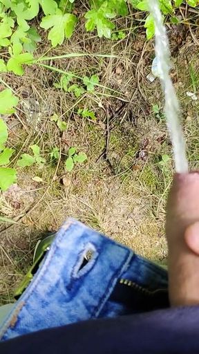 Outdoor Piss