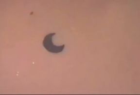 College Girl (cumpilation)