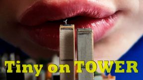 Tiny city - REVERSE Mouth View