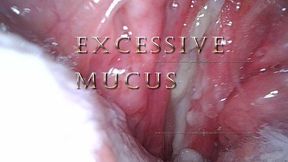 Excessive mucus POV ENDOSCOPE view.