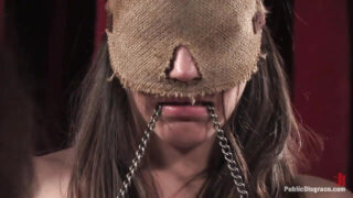 Orgie, Gangbang, Bondage – intensiver Anal-Gangbang für Bobbi Starr und Prinzessin Donna