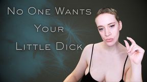Nobody Wants Your Little Dick (MOV)