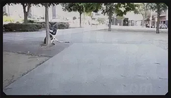 BBW Vicki Chase's Lockdown Fantasy Fulfilled