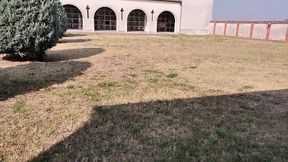 profanity collection at a special price of profanity and nudity in sacred places