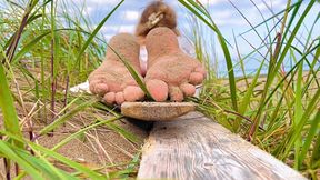Ignored in the bushes...Just to see her feet