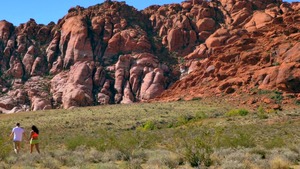 Day With a Pornstar: Pornstar Monique Alexander dick sucking