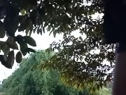 I get horny during our camping so I jerk off while my friends are waiting |Jakol - AlterTroye
