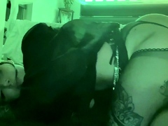 Amateur brunette ariana marie solo toying