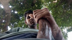 Do you like this big land