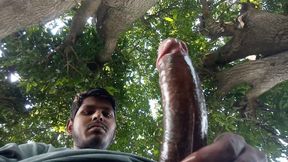 Do you like this big land
