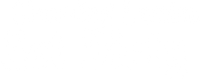 Cleaning ladies get dirty