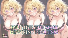 MP4 VERSION YOU LOVE THE SISSY DIAPER REWIRING PROCESS