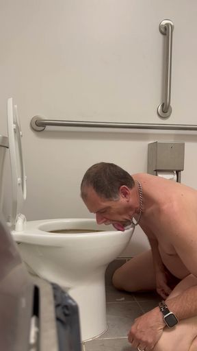 Toilet Love