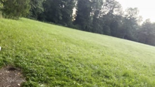 Hot Babe gives Blowjob, Handjob and gets fucked during Sunset on a public bench !