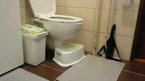 30min Toilet Compi with huge fart and lot of splashes & toilet sounds